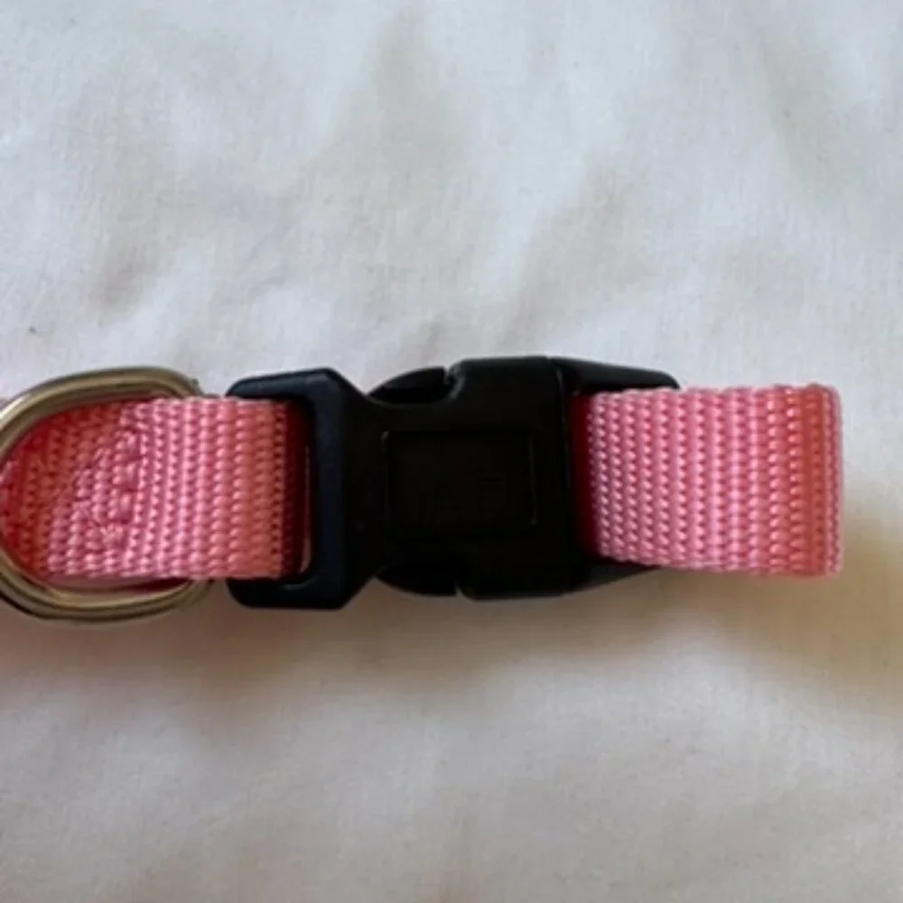 NWT Native Pup Basic Nylon Dog Collar, Adjustable for Small Dogs or Puppies Pink